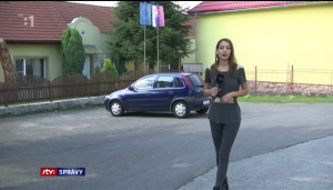 Obrázek