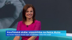 Obrázek