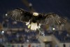 фотогалерея SS Lazio - Страница 12 6f1041583062923