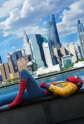 Человек-паук: Возвращение домой / Spider-Man: Homecoming (Том Холланд, Дональд Гловер, Мариса Томей, 2017) A8e49a580834603