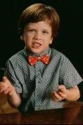 Трудный ребенок / Problem Child (Джон Риттер, Джек Уорден, Майкл Оливер,1991) 130009575276003