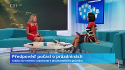 Obrázek