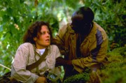 Гориллы в тумане / Gorillas in the Mist: The Story of Dian Fossey (Сигурни Уивер, Брайан Браун, 1988) 4eb3a2572229653