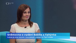 Obrázek