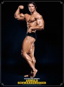 Арнольд Шварценеггер (Arnold Schwarzenegger) - сканы из разных журналов - 3xHQ - Страница 2 353fd8587319043