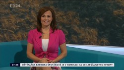Obrázek