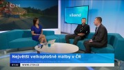 Obrázek