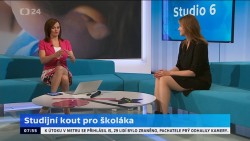 Obrázek