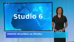 Obrázek