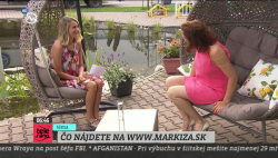 Obrázek