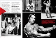 Арнольд Шварценеггер (Arnold Schwarzenegger) - сканы из разных журналов - 3xHQ - Страница 2 B08677587318953